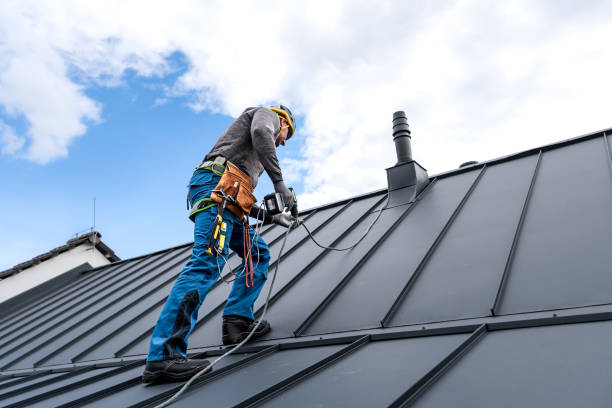 Roof Moss and Algae Removal in Breckenridge, MN