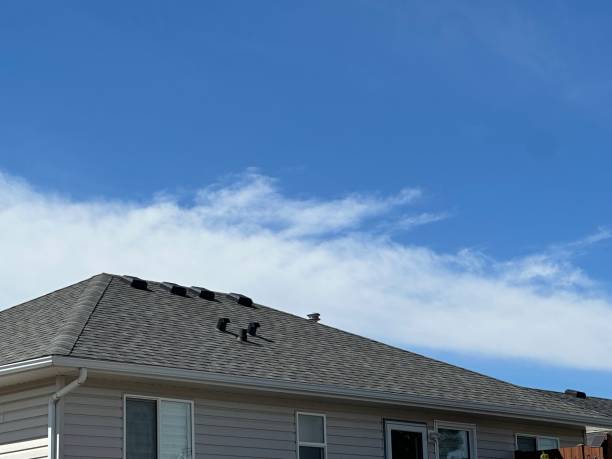 Best Roof Ventilation Installation  in Breckenridge, MN